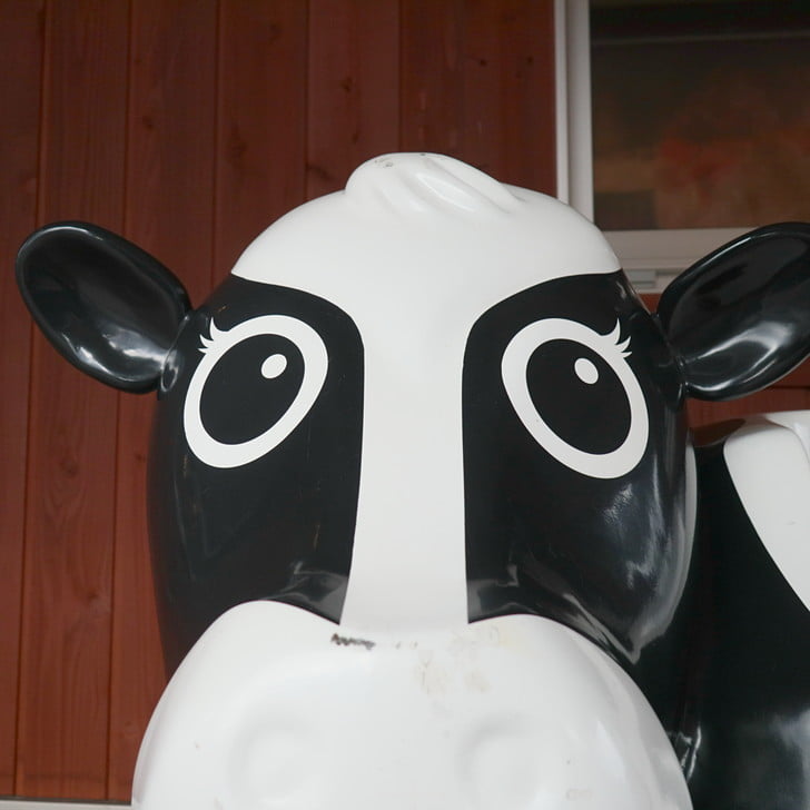 [おめめパッチリ]