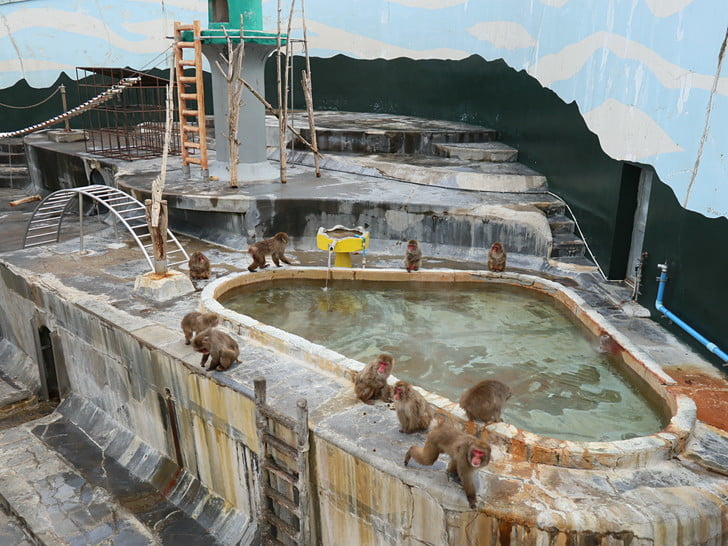 温泉はまだぬるい・・