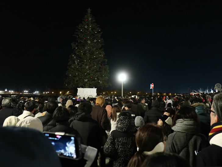 ツリー初点灯待ち・・