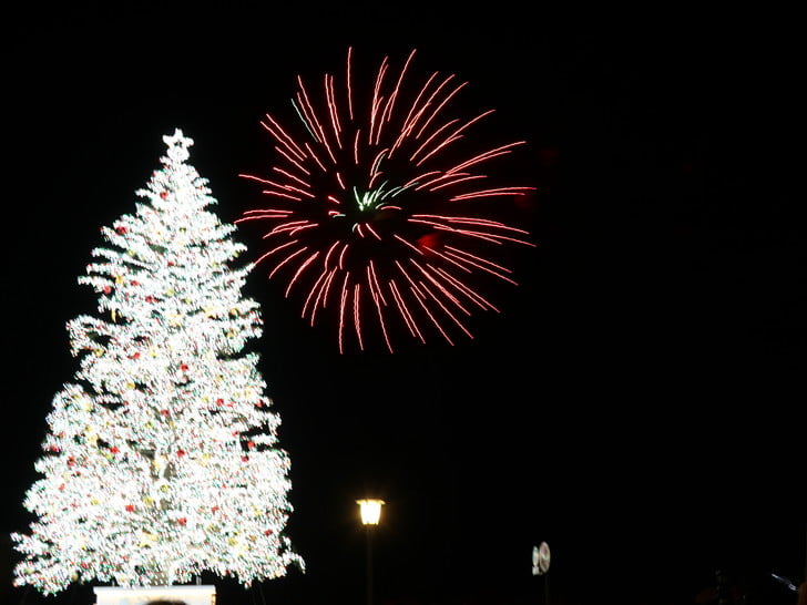 スペシャル花火