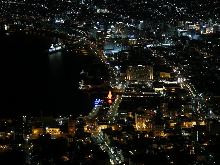 プレミアムレッドツリー発見