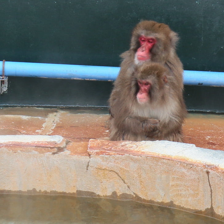 [お湯まだかなぁ]