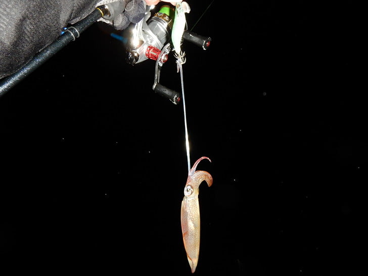 フラッシュ点灯