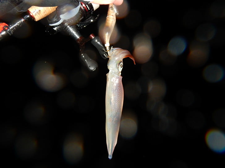 チビヤリだったか