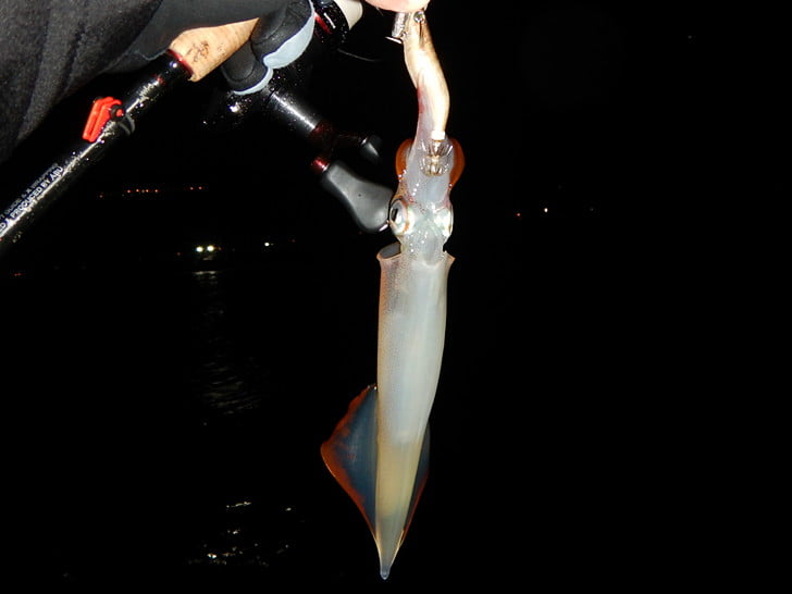 レンズの水滴除去