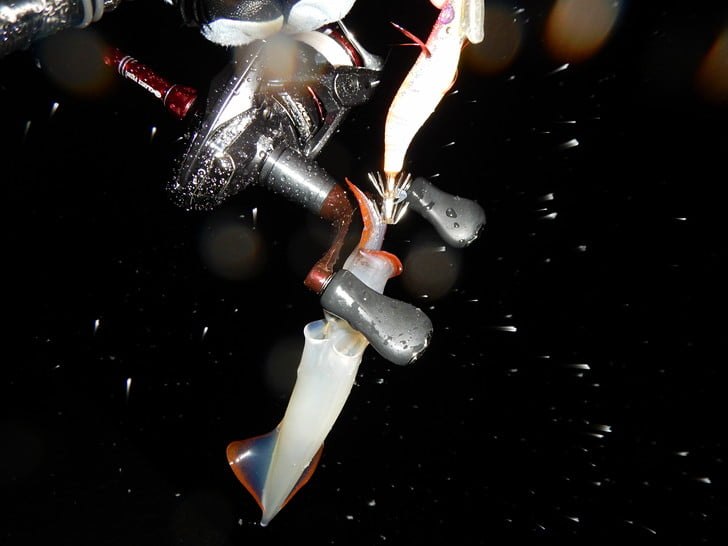 撮影もつらいよ