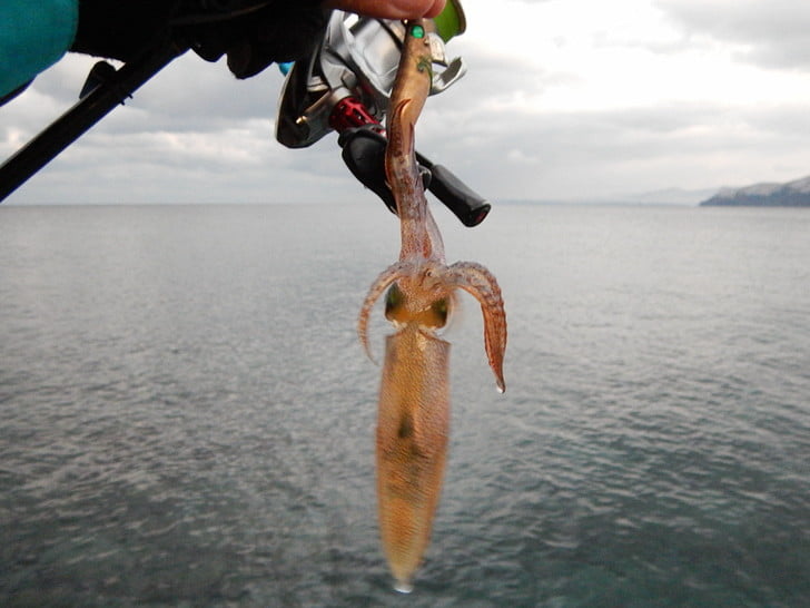 金アジBSに連発