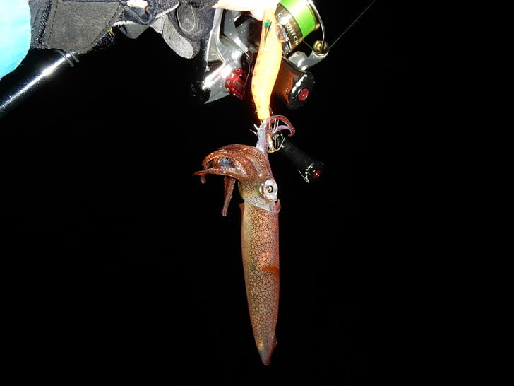 暗くなるとペースダウン