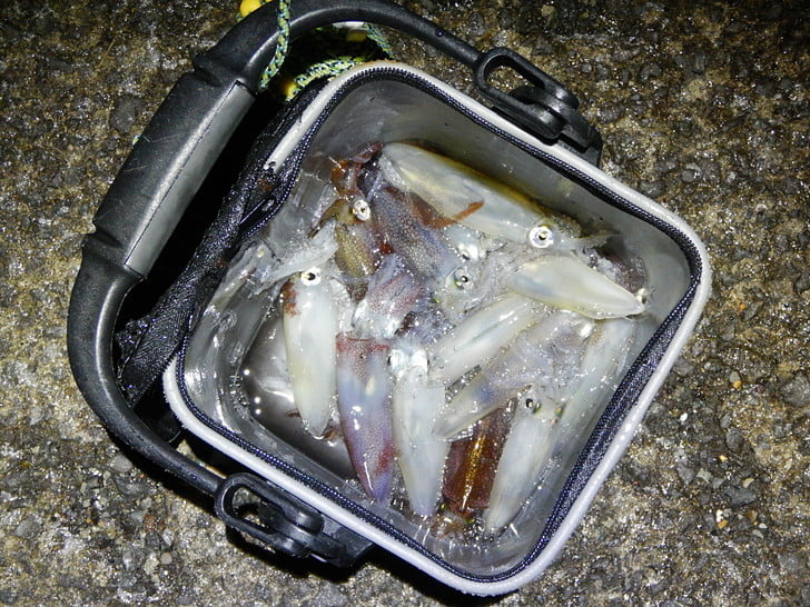 まずまず楽しめた