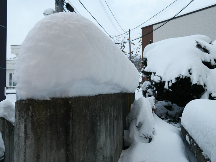 めちゃ積もった