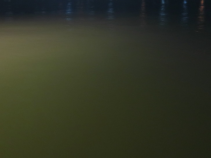 イカパラダイス？