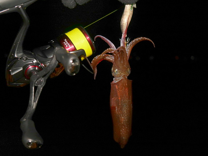 ここらで切り上げるかな