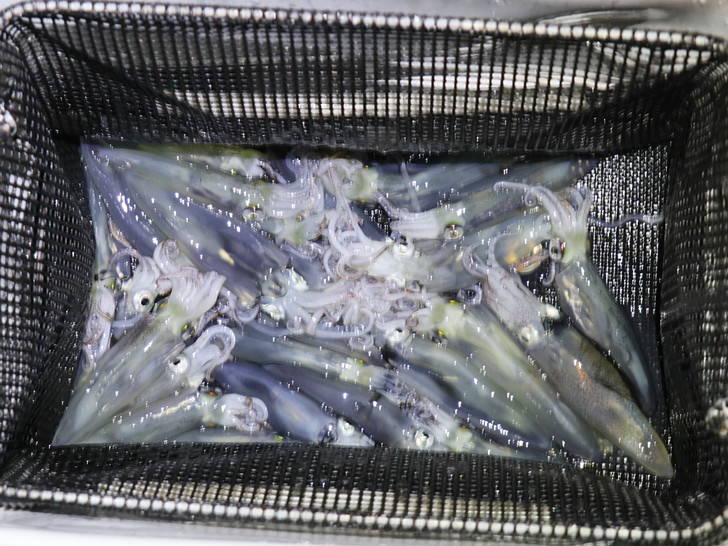 ばっちり楽しめた