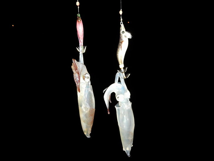 本日ダブル3回目