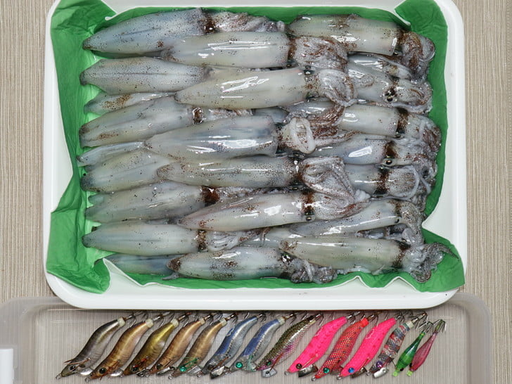 海からのクリプレ