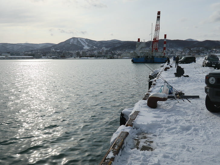 釣れそうな気配なし・・