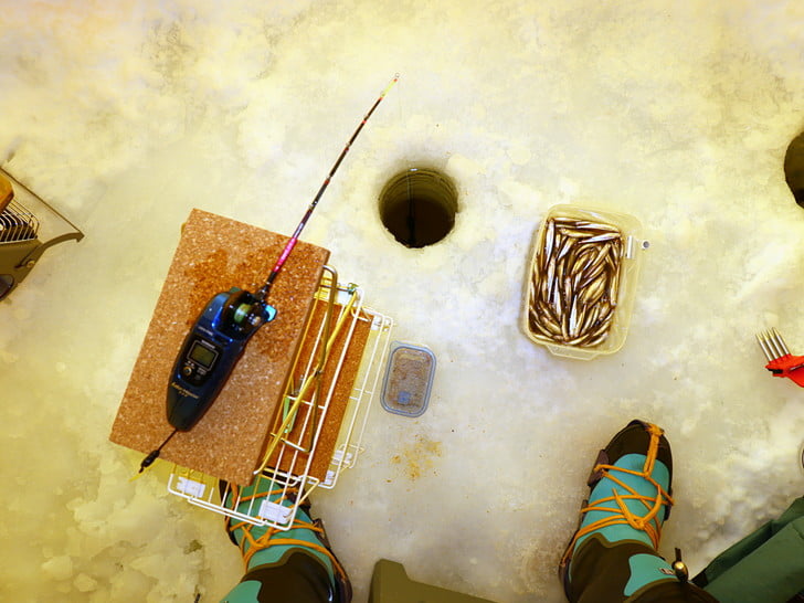 まあまあ釣れた