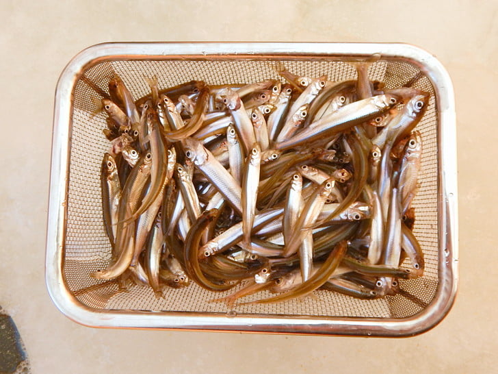 14時過ぎに上がり