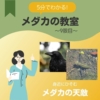 5分でわかる!身近にひそむメダカの天敵<メダカの教室9限目> | AQUALASSIC