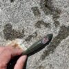 2023.5.26 急なお誘いでマメイカ - 早期退職で趣味ざんまい