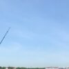 釣りバカおやじのひとり言・・・: 海サクラ・マメイカӥ